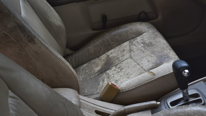 understanding-common-leather-seat-issues.webp understanding-common-leather-seat-issues.webp